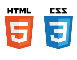 Build Your First Website with HTML & CSS – Zero Experience Needed
